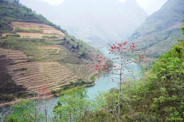 Nho Que River & Tu San Gorge Adventure